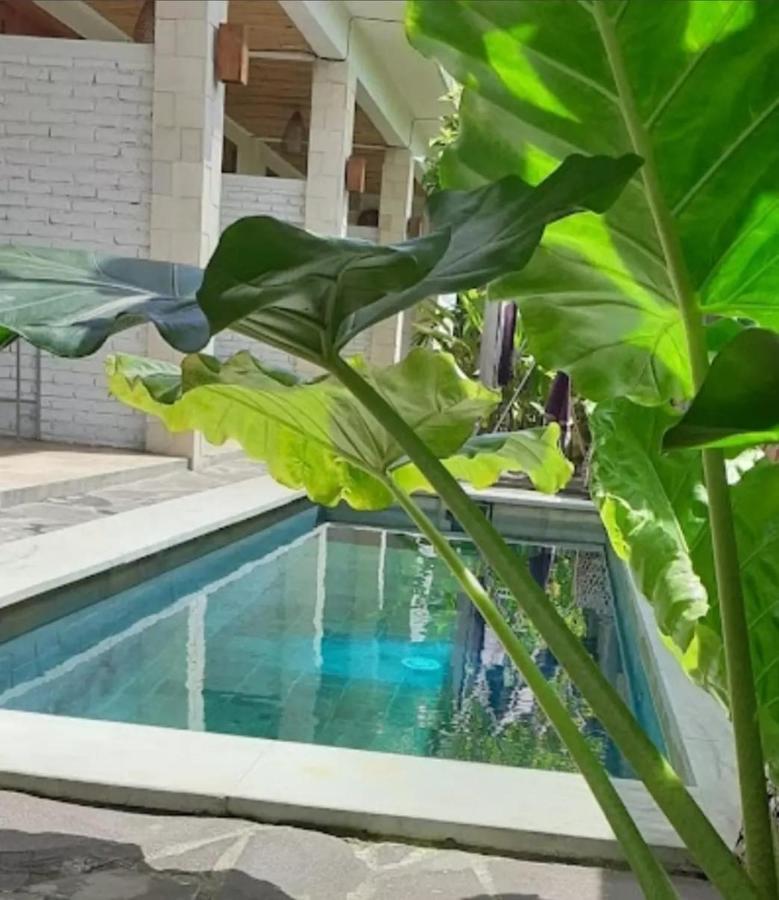 Surya Lombok Accommodation Selong Belanak Zewnętrze zdjęcie