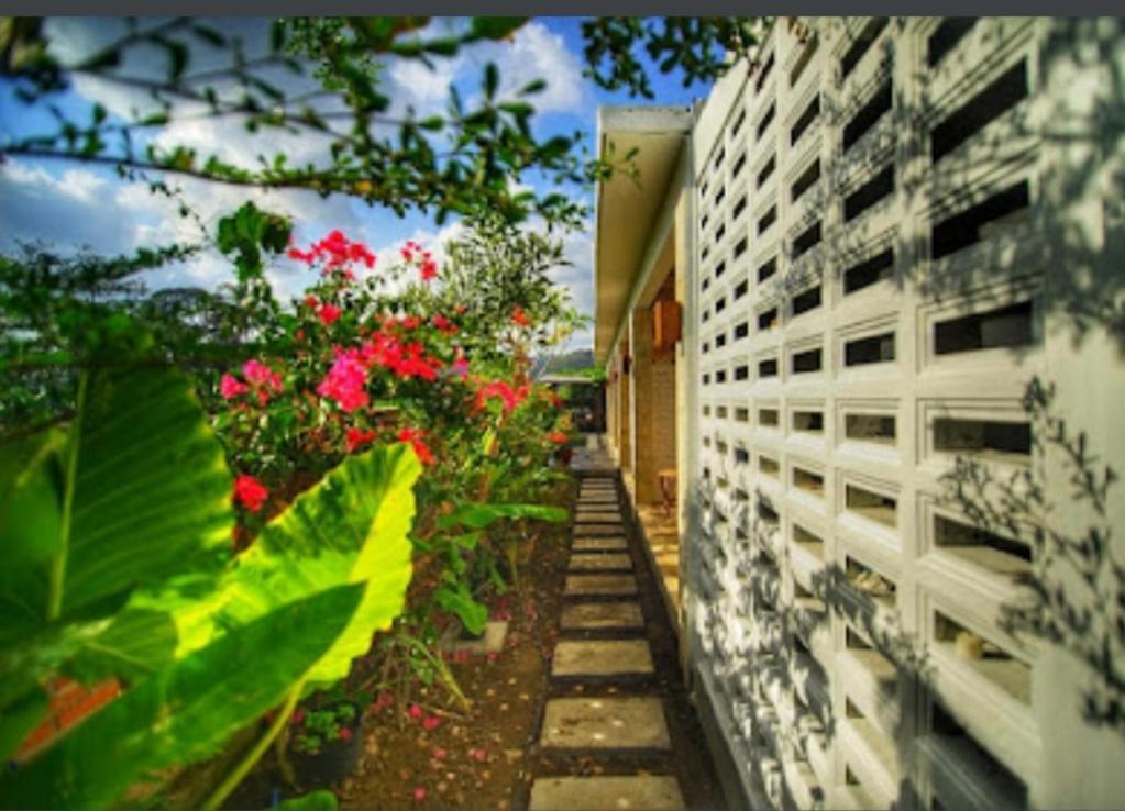 Surya Lombok Accommodation Selong Belanak Zewnętrze zdjęcie